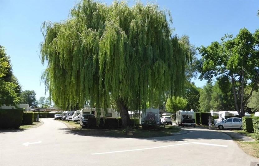 Camping Du Paquier Fane Chagny  Luaran gambar