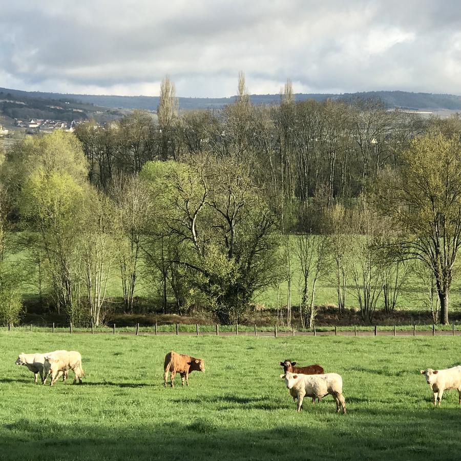 Camping Du Paquier Fane Chagny  Luaran gambar